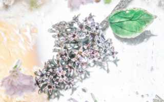 Свадебные платья для беременных: большой обзор существующих моделей